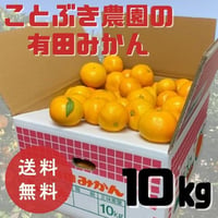 ことぶきみかん　サイズ混合（S～L）10kg