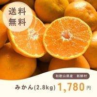 新鮮村のみかん 2.8kg　※送料込み（北海道・沖縄除く）