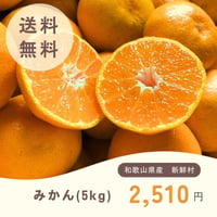 新鮮村のみかん 5kg　※送料込み（北海道・沖縄除く）