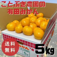 ことぶきみかん　サイズ混合（S～L）5kg