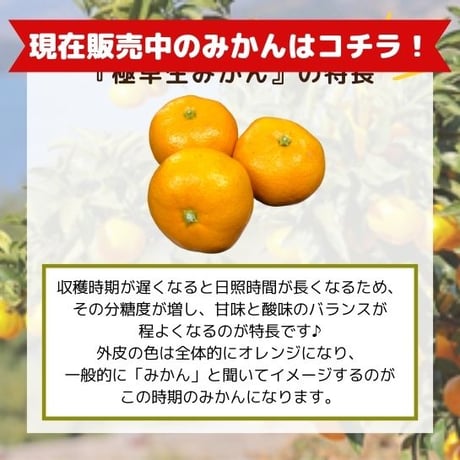 新鮮村のみかん 5kg　※送料込み（北海道・沖縄除く）