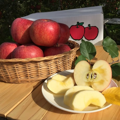 CATEGORY りんご | 信州・さくほ「須田農園」