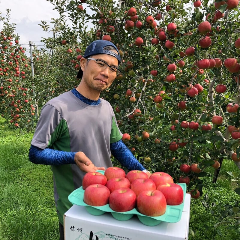 シナノドルチェ（3kg箱） | 信州・さくほ「須田農園」