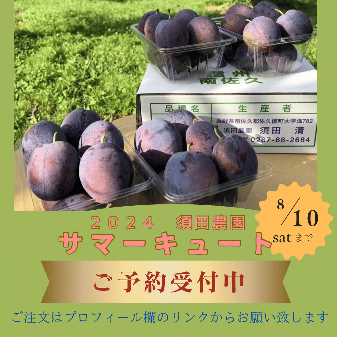 限定販売】夏を代表するプルーン「サマーキュート」 | 信州・さくほ