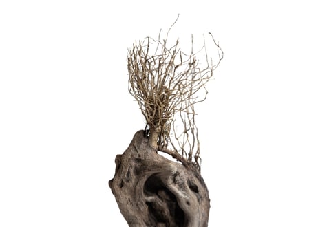 KELEN OBJECT　KON　No.154