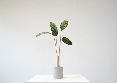 MOTON DESIGN STUDIO　BULBOUS　DOUBLE　S　Natural