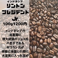 リントンプレジデントJr.（100g）
