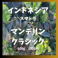 マンデリンクラシック　Mandheling Classic （100g）