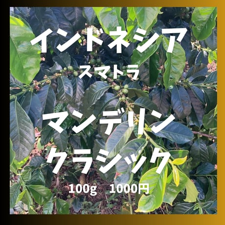 マンデリンクラシック　Mandheling Classic （100g）