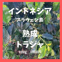 熟成　トラジャ　Aged Toraja (100g)