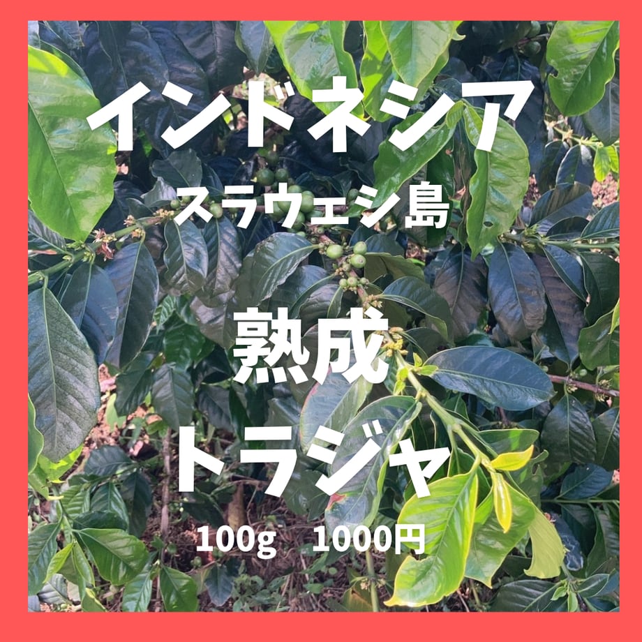 6a245f677dd1ee61fec24653