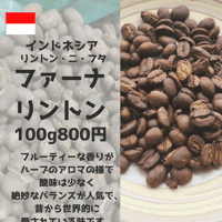 ファーナ リントン Rinton （100g）
