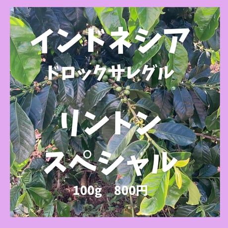 リントン スペシャル　Rinton Special (100g)