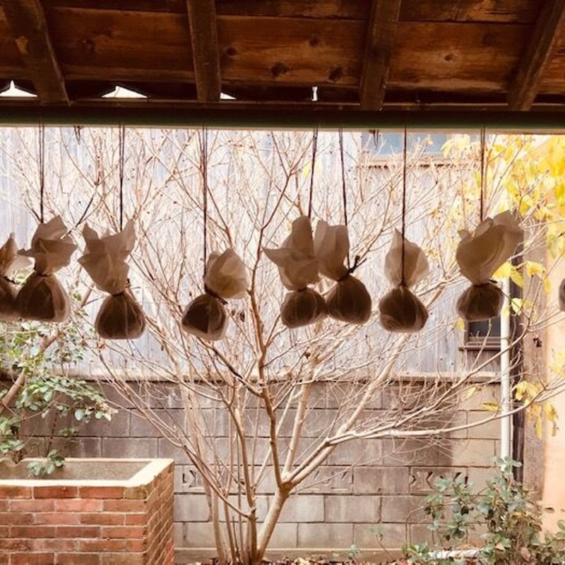 ゆずゆず購入グレーのM 常温】ゆずちゃん【ゆず入り七味】500g│宮崎県銀鏡のゆず・柚子かぐら