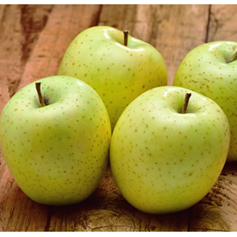 林檎 ◇PREMIUM◇あおもり林檎セミドライ 王林 | まごころ農場