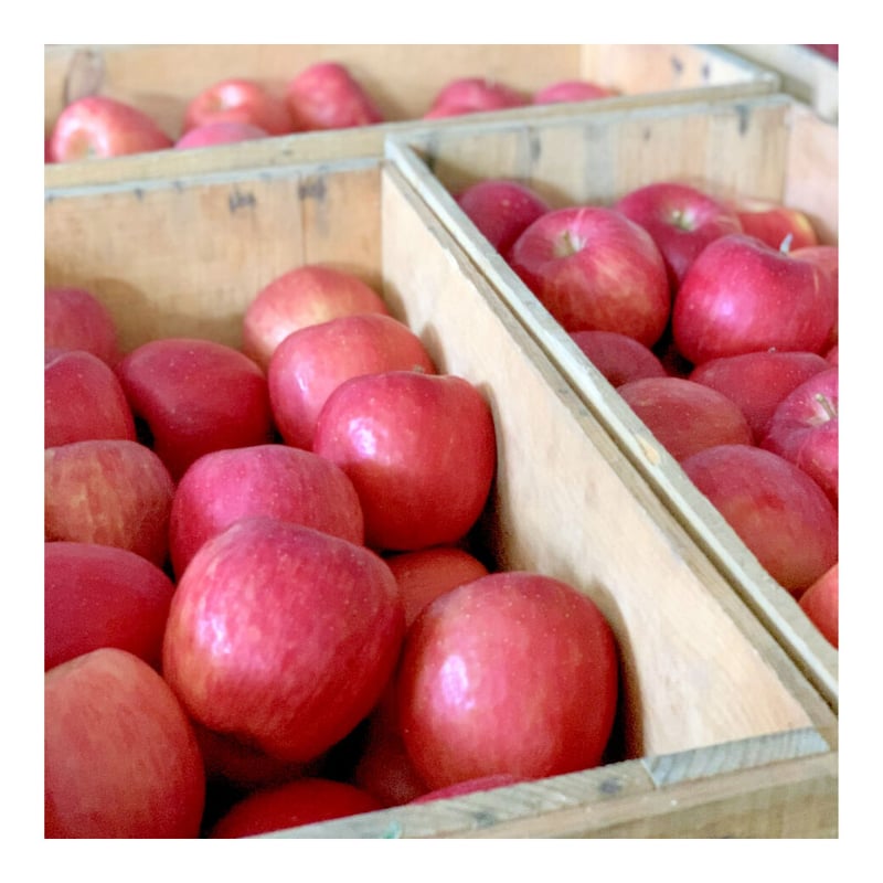 あおもり林檎ｾﾐﾄﾞﾗｲ 3種6袋セット（ﾌﾟﾚｰﾝ・ｼﾅﾓﾝ・ﾚﾓﾝ） | まごころ農場