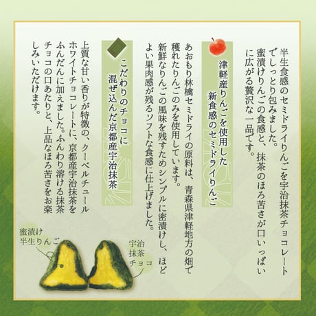 ９種のセミドライ林檎 食べ比べセット