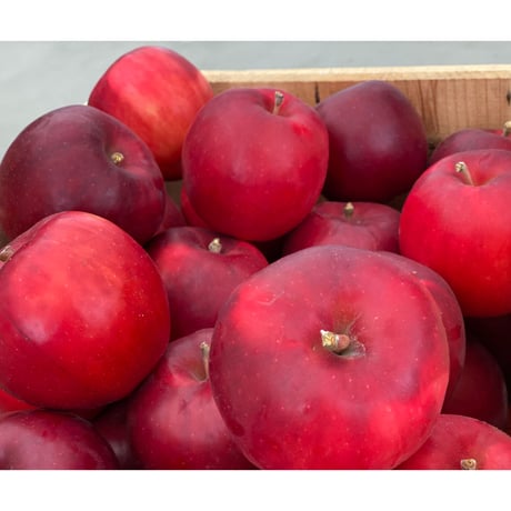 プチパック３種食べ比べ　ふじ・紅玉・王林