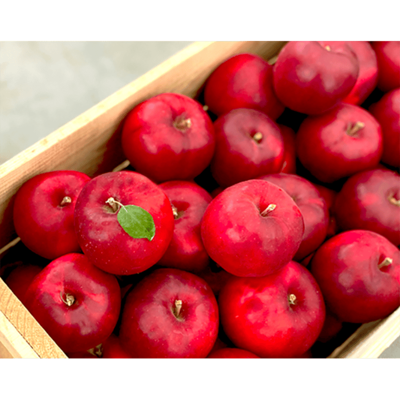 紅玉りんごと3種のナッツ（120g） | まごころ農場