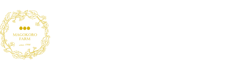 CATEGORY あおもり林檎セミドライ | まごころ農場