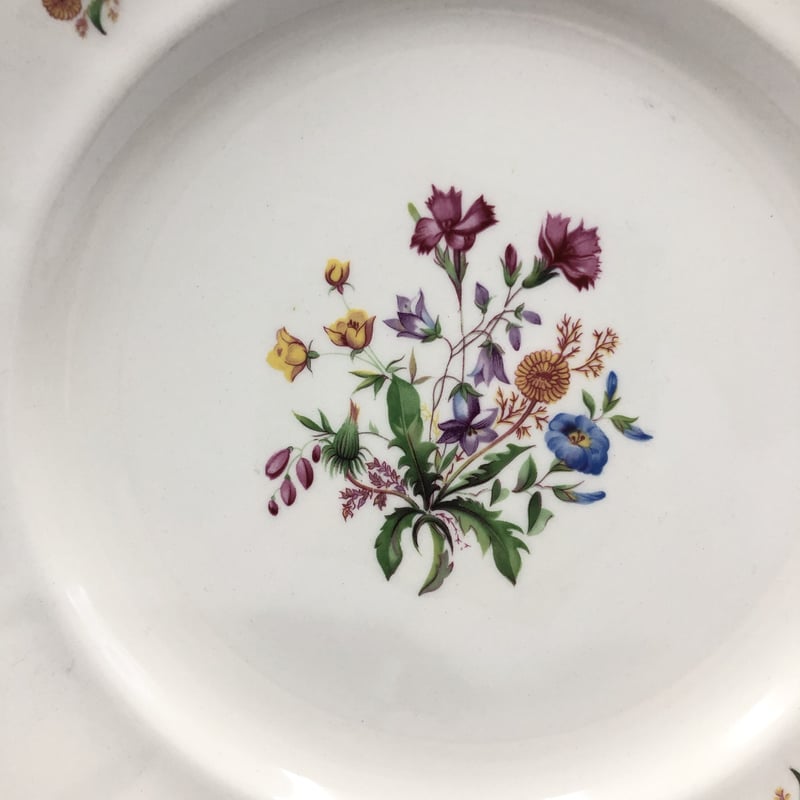 001〜004)北欧 Rorstrand ロールストランド/EVY プレート24cm