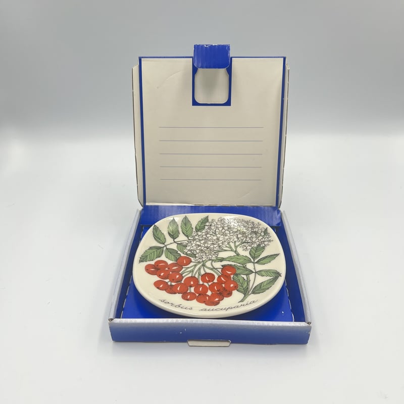 003)北欧 ヴィンテージ 廃盤品 ARABIA アラビア / Botanicaセイヨウナナ