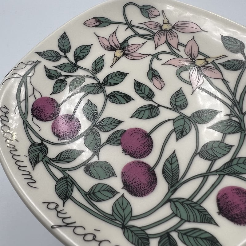 002)北欧 ヴィンテージ 廃盤品 ARABIA アラビア / Botanicaクランベリー