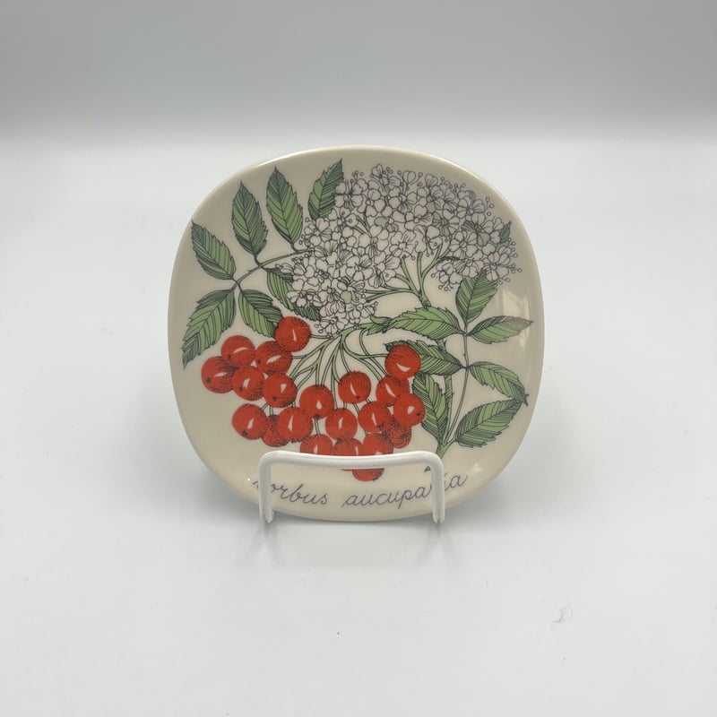 003)北欧 ヴィンテージ 廃盤品 ARABIA アラビア / Botanicaセイヨウナナ