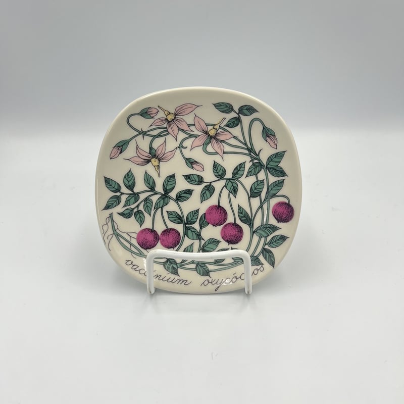 002)北欧 ヴィンテージ 廃盤品 ARABIA アラビア / Botanicaクランベリー