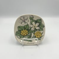 (004)北欧 ヴィンテージ 廃盤品 ARABIA アラビア / Botanicaホムロイイチゴ(Botanica-ホロムイイチゴ-004)