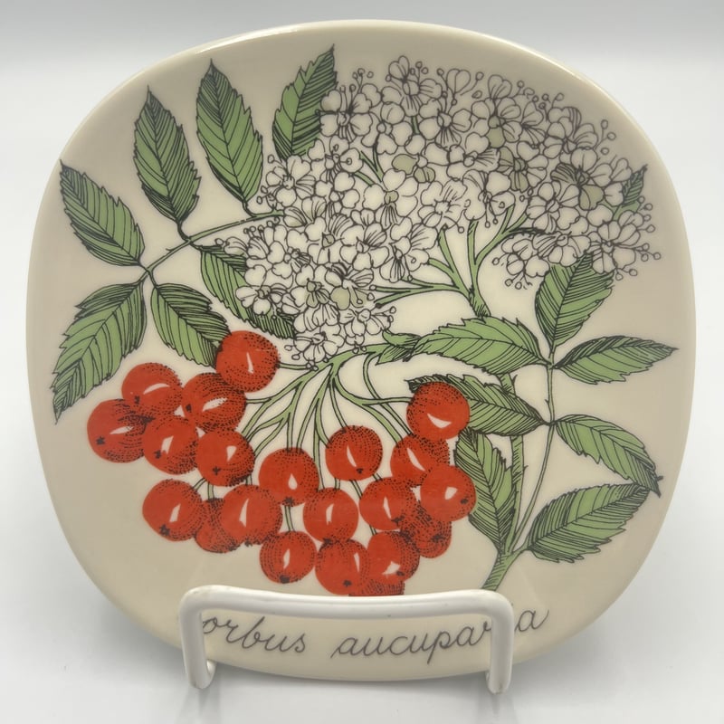 003)北欧 ヴィンテージ 廃盤品 ARABIA アラビア / Botanicaセイヨウナナ