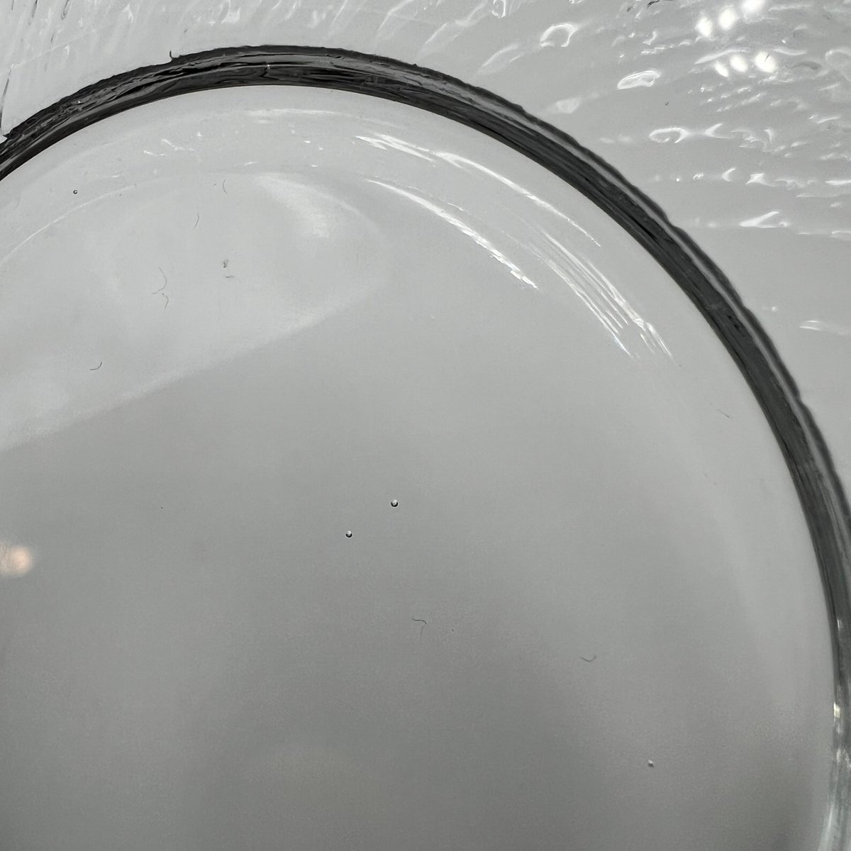 029)北欧 ヴィンテージ 廃盤品 iittala イッタラ / Tsaikka ツァイッカ