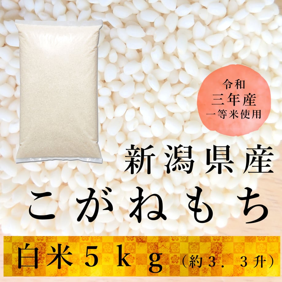 6195ac45a8755346ee8aae44