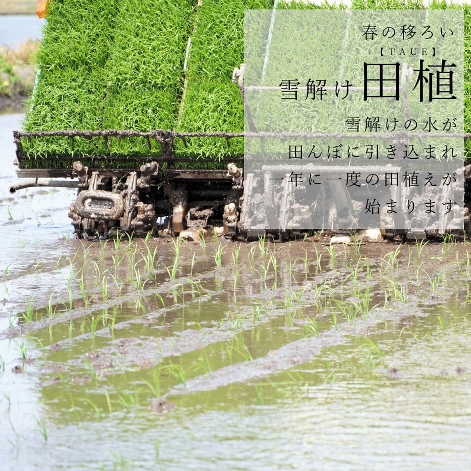 61a82356b91b752140ce62f0
