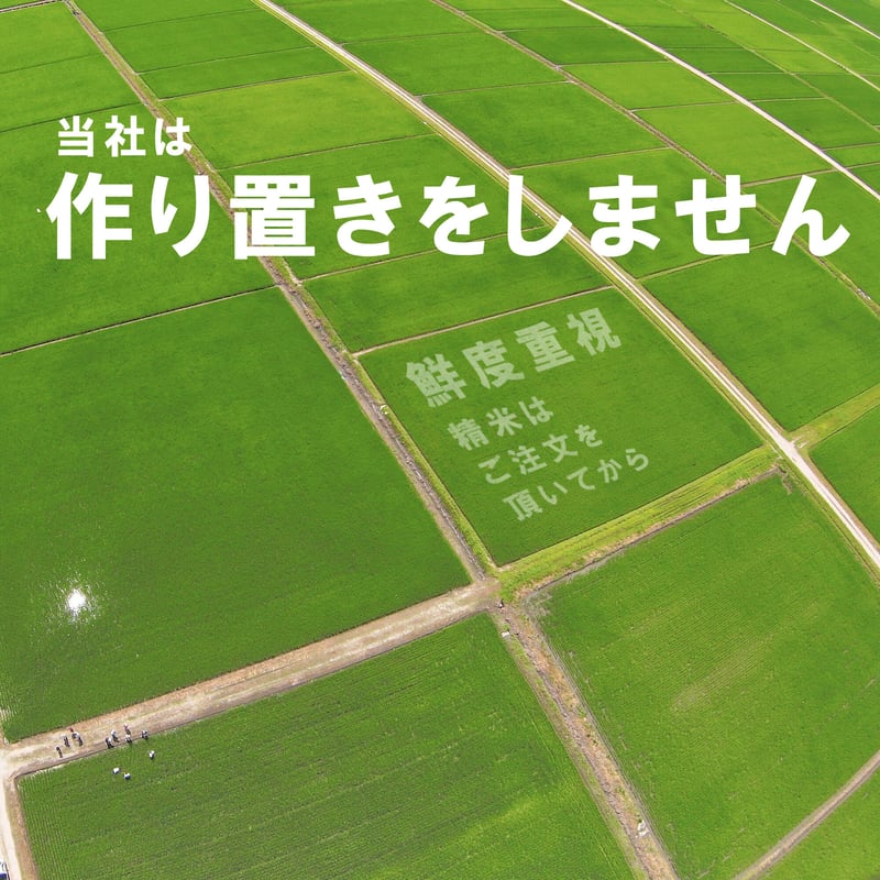 令和５年新潟県産コシヒカリ白米８kg （２kg ×４個パック） | Sun