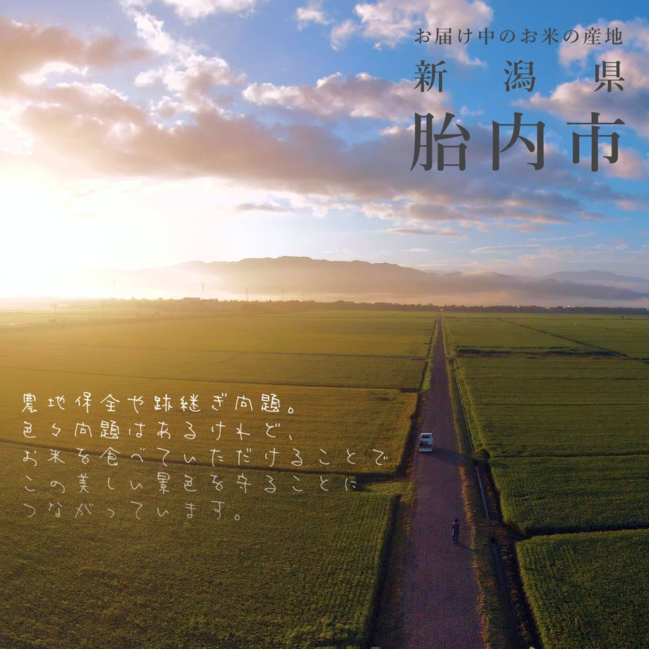 61356d7ae406b81048aa32f5
