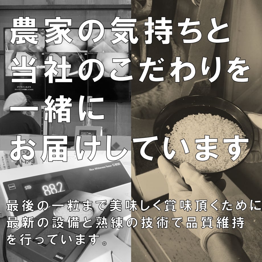 61356d7de406b81048aa3303