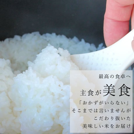 令和７年新潟県産こしいぶき白米２０ｋｇ（５ｋｇ×４個パック）
