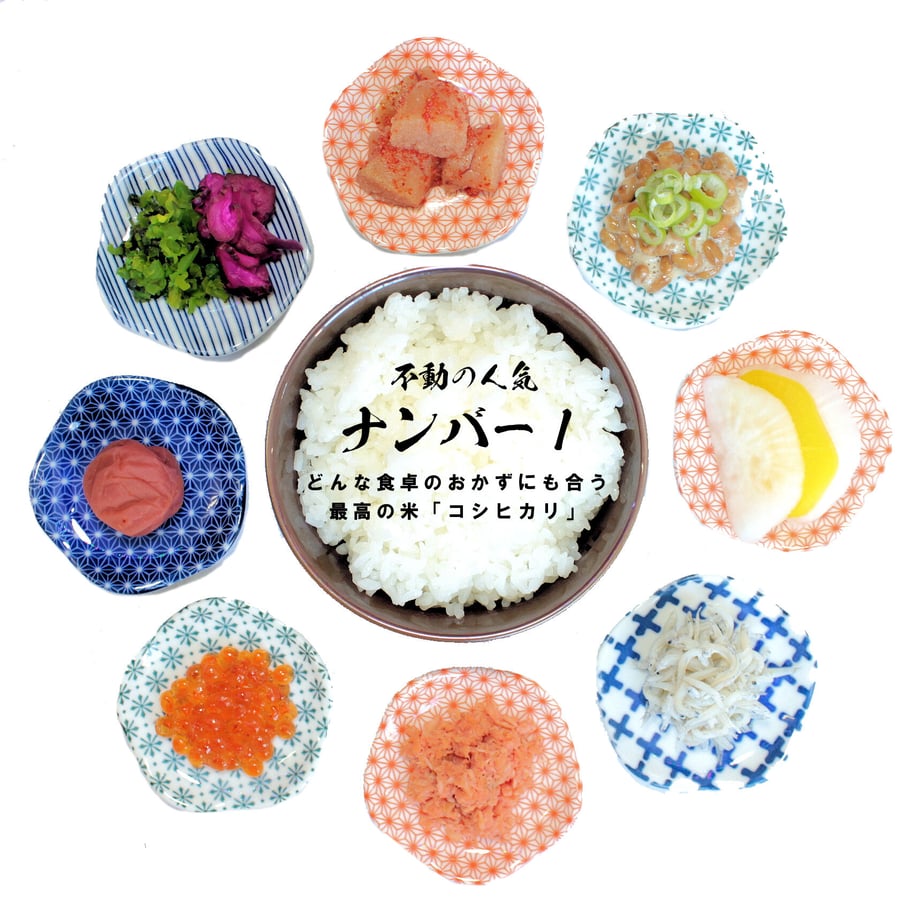 61a82356b91b752140ce62f0