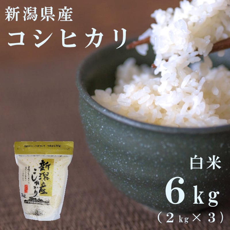 新米 新潟県産コシヒカリ白米５㎏×４袋(令和５年産) - www.kochgarvis.com