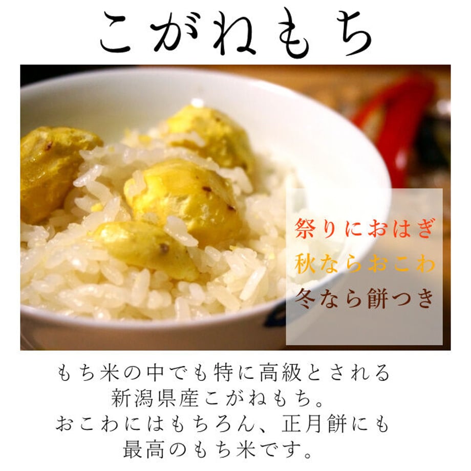 6195adc37e588f2fafa9c0e8