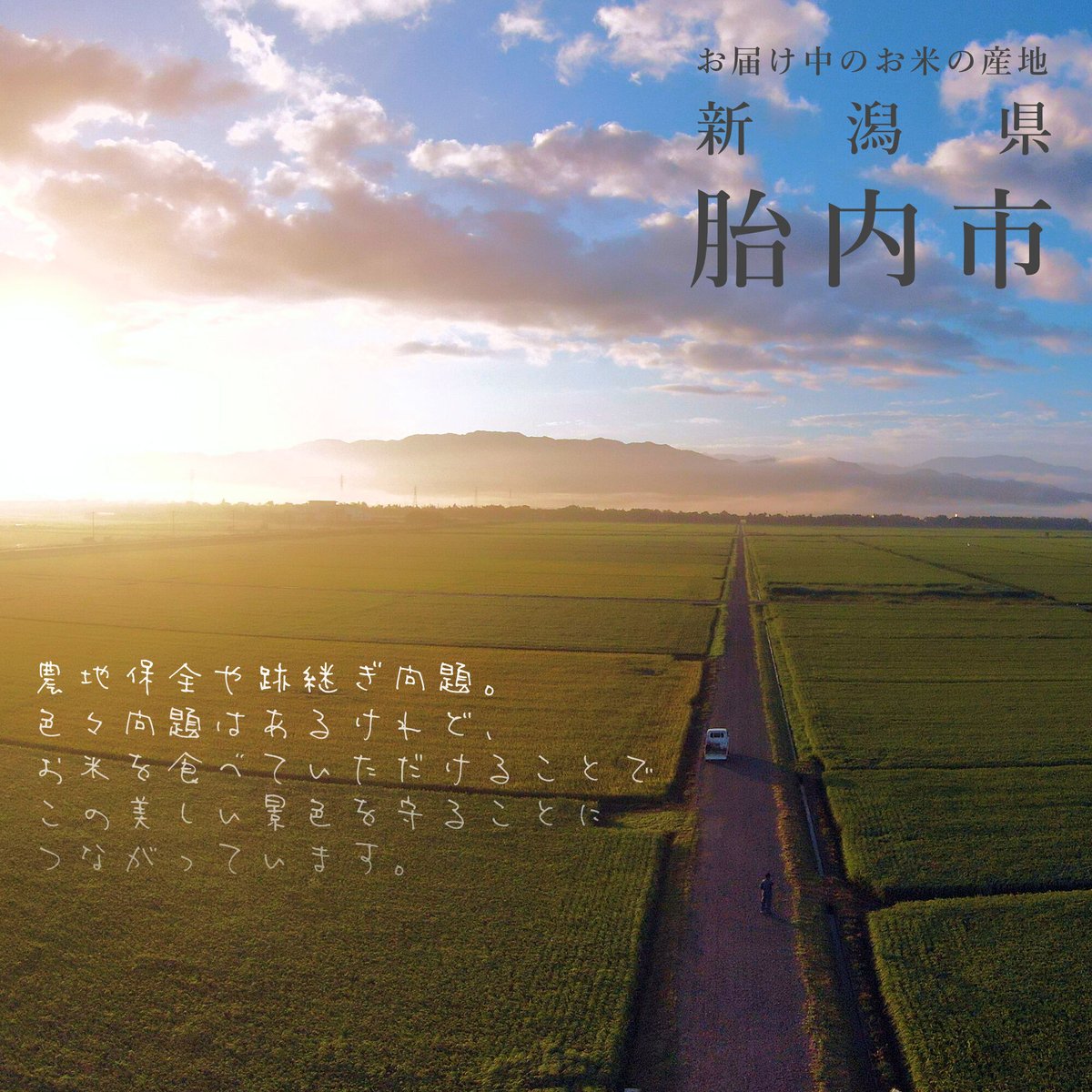 令和7年新潟県産コシヒカリ無洗米4kg | Sun Village Niigata