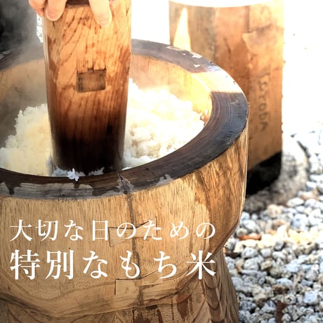 令和７年新潟県産こがねもち　もち米１０kg（5kg ×2個パック）