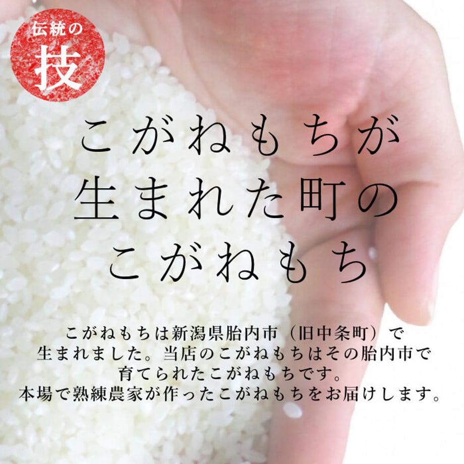 6195adc37e588f2fafa9c0e8