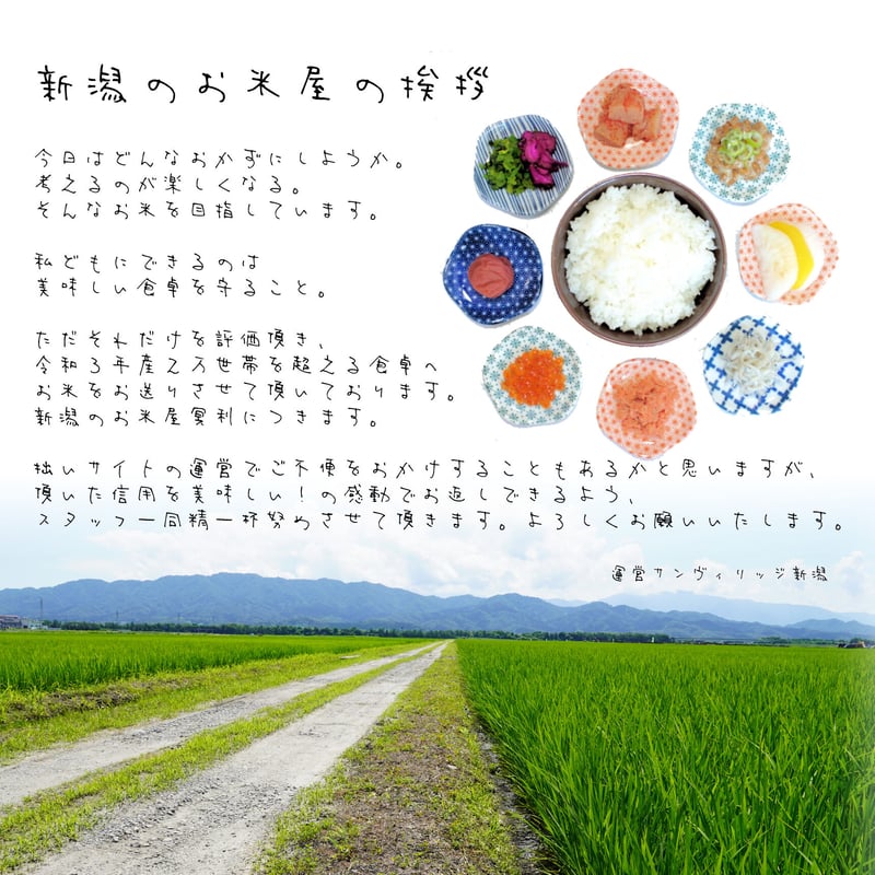 定期】令和7年新潟県産コシヒカリ白米6kg | Sun Village Niigata