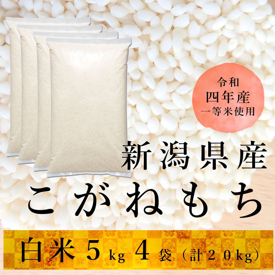 6195adc37e588f2fafa9c0e8