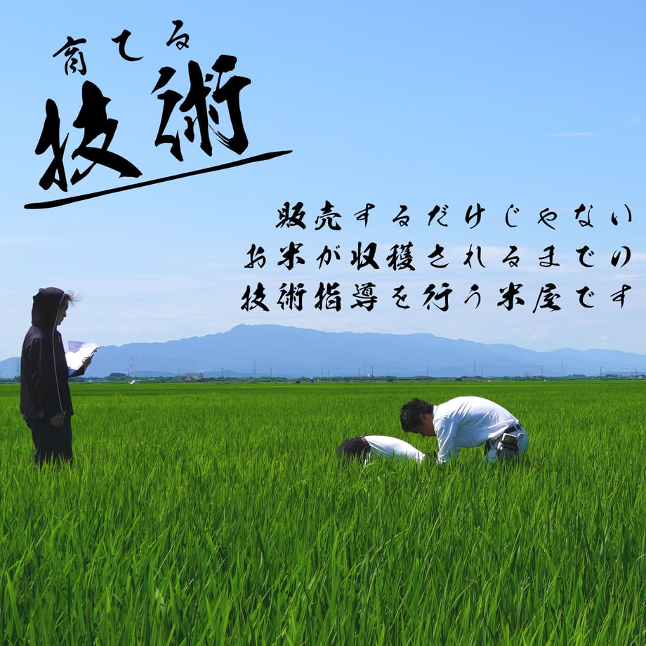 61a82356b91b752140ce62f0
