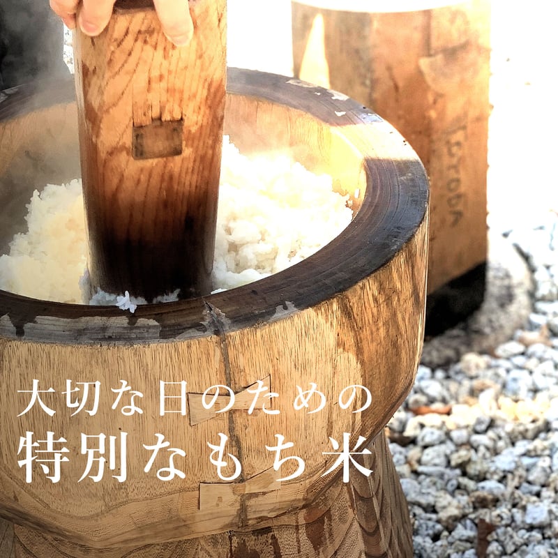 令和8年新潟県産こがねもち5㎏ | Sun Village Niigata