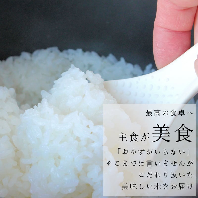 令和8年新潟県産こしいぶき白米10kg（5kg×2個パック） | Sun