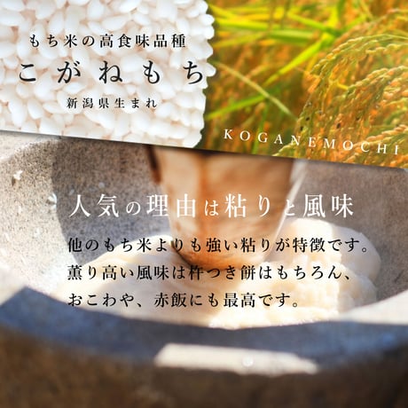 令和７年新潟県産こがねもち　もち米１０kg（5kg ×2個パック）